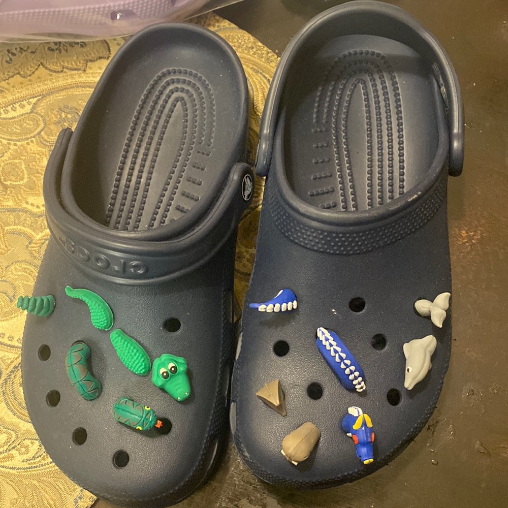 Never worn blue crocs with charms
